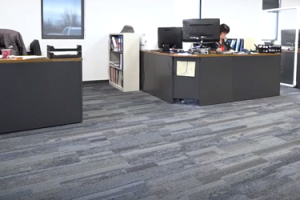 CPI Office