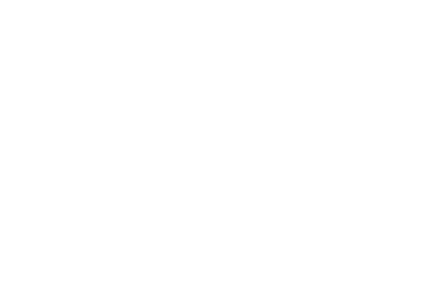 Trek-Advanced-Energy-Concept-Construction-WNY-Consruction-Projects 25 Trek-Advanced-Energy-Concept-Construction-WNY-Consruction-Projects 25